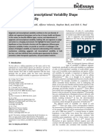 Epigenetic and Transcriptional Variability Shape Phenotypic Plasticity