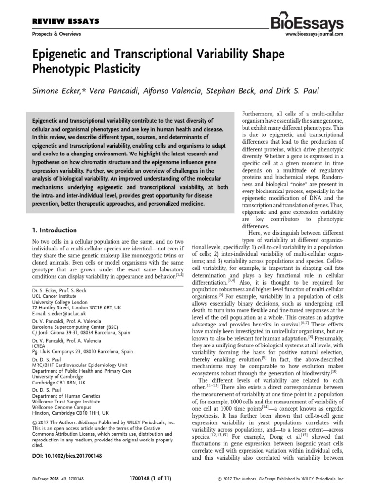 Epigenetic and Transcriptional Variability Shape Phenotypic Plasticity ...