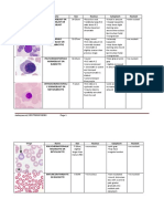 Image Name Size Nucleus Cytoplasm Nucleoli Pronormoblast or Erythroblast or Rubriblast