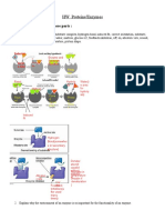 HW Proteins Enzymes 1