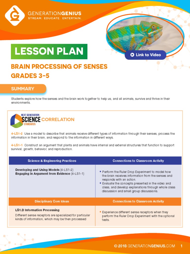 Senses and The Brain Lesson Plan GG | PDF | Senses | Perception