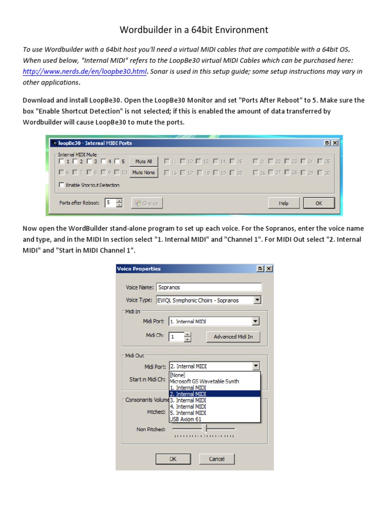 Wordbuilder Setup for 64-bit Hosts | PDF | 64 Bit Computing | Input/Output
