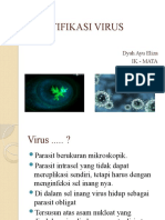 IDENTIFIKASI DAN KLASIFIKASI VIRUS