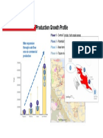 Production Growth Profile: 2.-Target 2: Tangana y Cauca