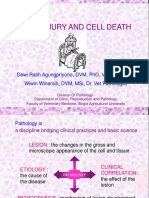 #K1 Cellular Injury and cell death 2020.pdf
