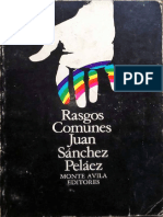 Juan Sánchez Peláez - Rasgos Comunes
