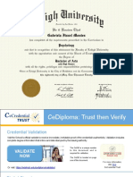 Virtual Diploma PDF