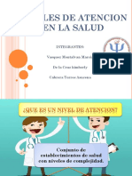 NIVELES DE ATENCION EN LA SALUD EXPO- GRUPO PDF