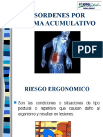 Desord. Trauma Acumulativo - 13