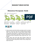 FUNGSI ORGAN TUBUH HEWAN