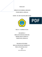 MAKALAH Tumor Medula Spinalis