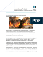 Files Deforestacion 1566991482 PDF