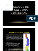 Músculos de la columna vertebral