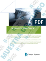 Axv Demo PDF