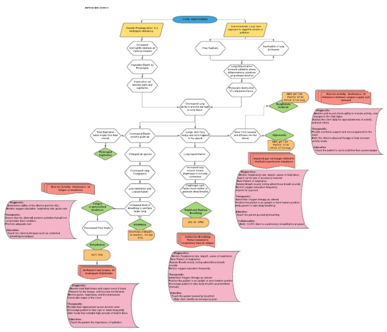 Emphysema | PDF | Breathing | Lung