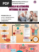 Paquete de Atención Integral del Adulto Mayor | PDF | Vejez | Adultos