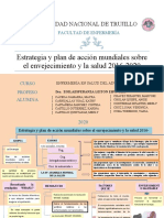 MAPA CONCEPTUAL - Estrategia y Plan de Acción Mundiales Sobre El Envejecimiento y La Salud, 2016-2020