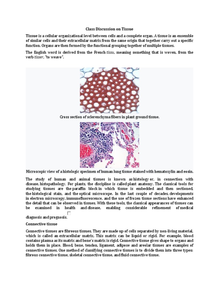 Overview of Tissue Types and Functions | PDF | Tissue (Biology ...