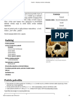 Paleolit - Vikipedija, Slobodna Enciklopedija