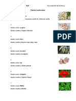 Plantas Medicinales PDF