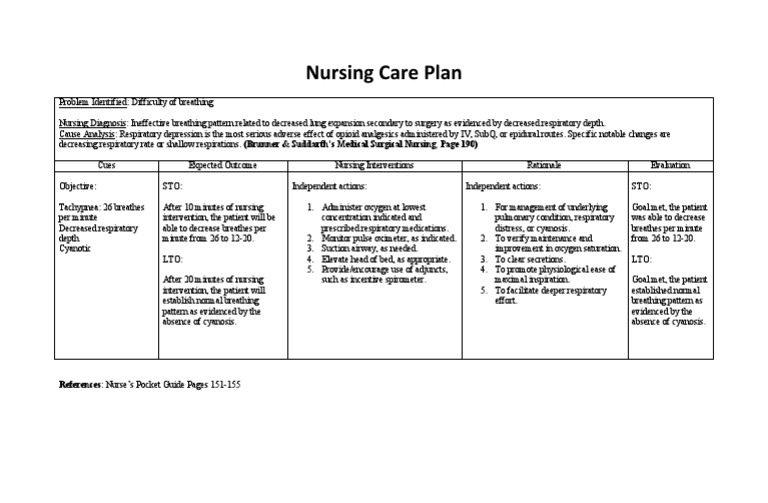 Nursing Care Plan: References: Nurse&rsquo;s Pocket Guide Pages 151-155 
