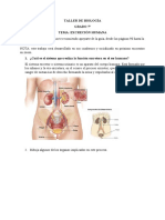 TALLER EXCRECIÓN HUMANA Emmanuel