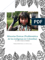 Problemas de las minorías étnicas indígenas en Colombia