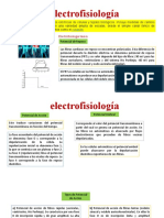 Electrofisiología