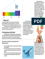 PH Scale Brochure