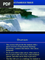 Download Skin  Subcutaneous Tissue by sarguss14 SN4755466 doc pdf