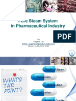 11 Pure Steam System PDF