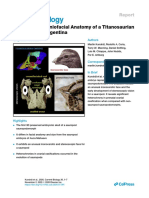 Specialized Craniofacial Anatomy of A Titanosaurian Embryo From Argentina