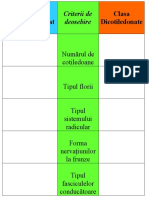 Comparație Mono - Și Dicotiledonate