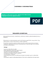 Produccion_bioetanol_y_biodiesel_2013.pdf