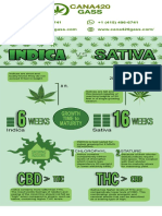 Buy Marijuana Online - Buy Weed Online - Home - Cana 420 Gass