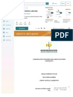 PDF Casos de Accidnetes Laborales DL