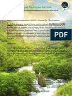 Propuesta Bolsas Ecológicas Pro Empleo Cali Valle PDF