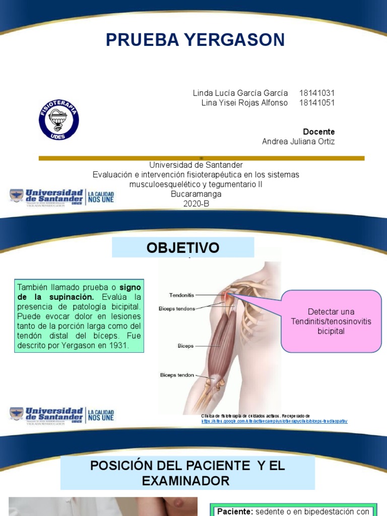 Prueba Yergason PDF Codo Enfermedades y trastornos humanos