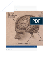 Soy El Cerebro de Juan