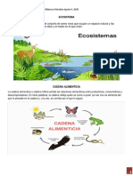 Ecosistemas y relaciones ecológicas