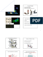 1.Microscopy Intro.handout