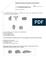 Prueba Final de Procesos Ciencias Naturales Cuarto Basico