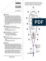 Pagelada Coroadas Lagrimasde Nossa Senhora