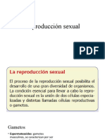 Reproduccion Sexual