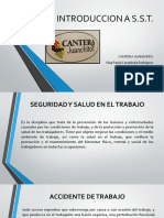 Que Es Seguridad y Salud en El Trabajo - Tia