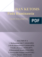 kELOMPOK 4 Asidosis - Dan Ketosis Pada - Ruminansia