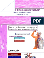 Histología cardiaca