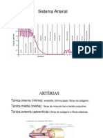 9 Sist - Arterial 09