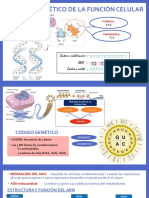 Control Genético de La Función Celular