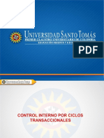 Control Interno por Ciclos Transaccionales.pdf